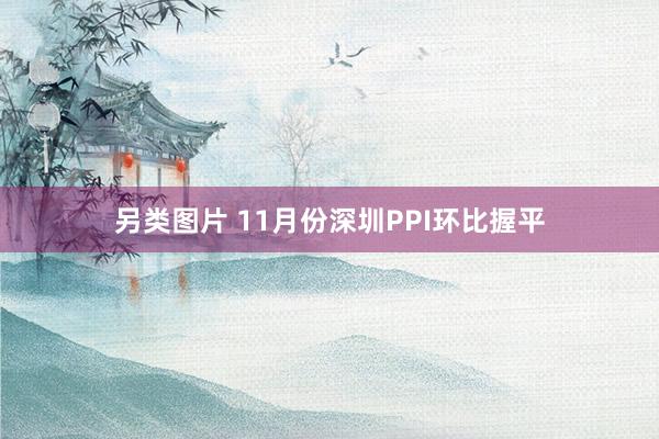 另类图片 11月份深圳PPI环比握平