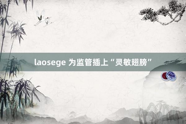 laosege 为监管插上“灵敏翅膀”