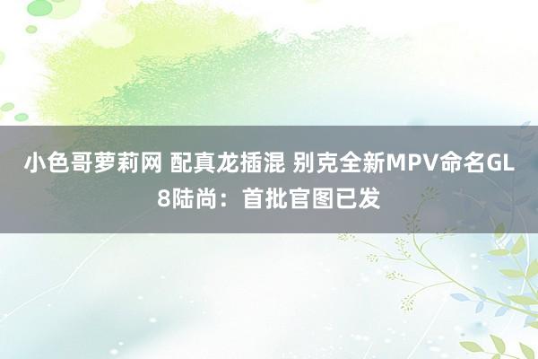 小色哥萝莉网 配真龙插混 别克全新MPV命名GL8陆尚：首批官图已发