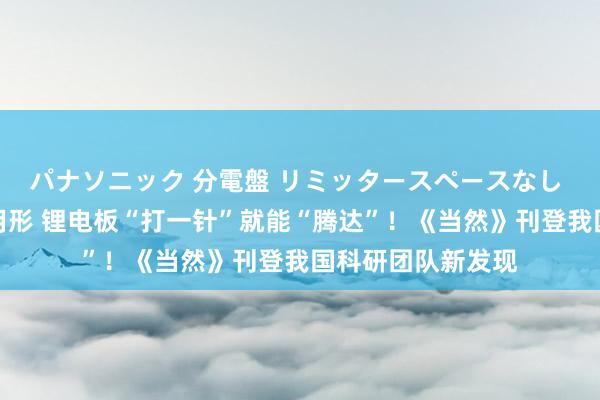パナソニック 分電盤 リミッタースペースなし 露出・半埋込両用形 锂电板“打一针”就能“腾达”！《当然》刊登我国科研团队新发现