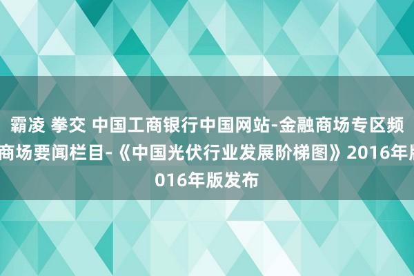霸凌 拳交 中国工商银行中国网站-金融商场专区频说念-商场要闻栏目-《中国光伏行业发展阶梯图》2016年版发布