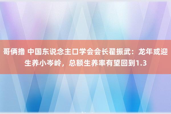 哥俩撸 中国东说念主口学会会长翟振武：龙年或迎生养小岑岭，总额生养率有望回到1.3
