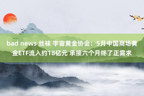 bad news 丝袜 宇宙黄金协会：5月中国商场黄金ETF流入约18亿元 承接六个月终了正需求