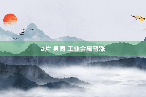 a片 男同 工业金属普涨