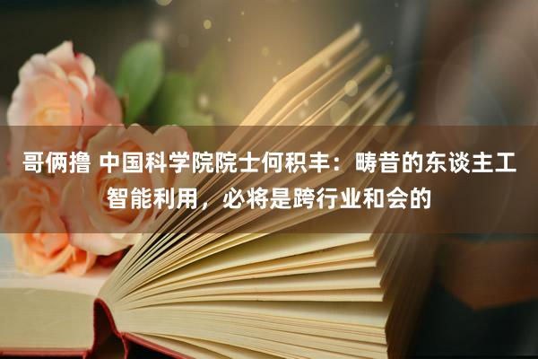 哥俩撸 中国科学院院士何积丰：畴昔的东谈主工智能利用，必将是跨行业和会的