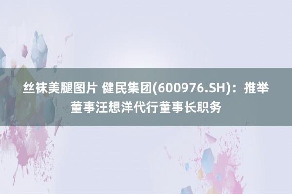 丝袜美腿图片 健民集团(600976.SH)：推举董事汪想洋代行董事长职务