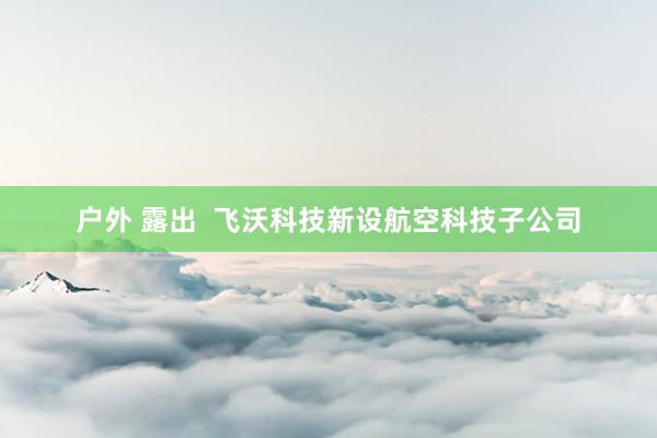 户外 露出  飞沃科技新设航空科技子公司