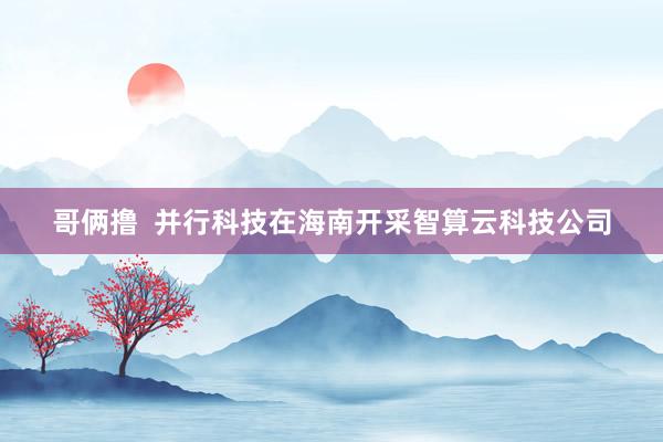 哥俩撸  并行科技在海南开采智算云科技公司