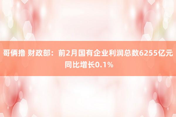 哥俩撸 财政部：前2月国有企业利润总数6255亿元 同比增长0.1%